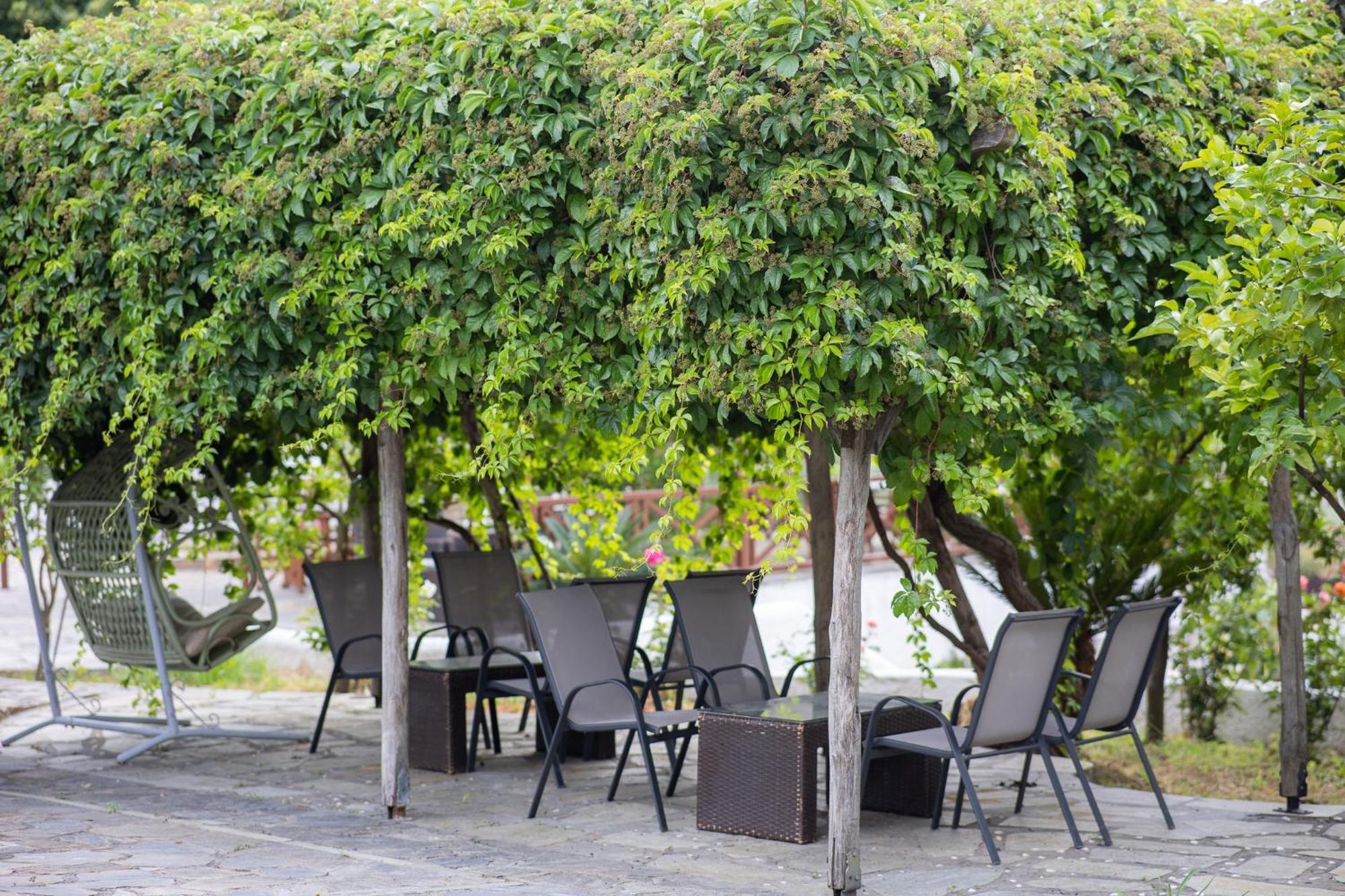 Seralis Pelion Afissos Exterior foto