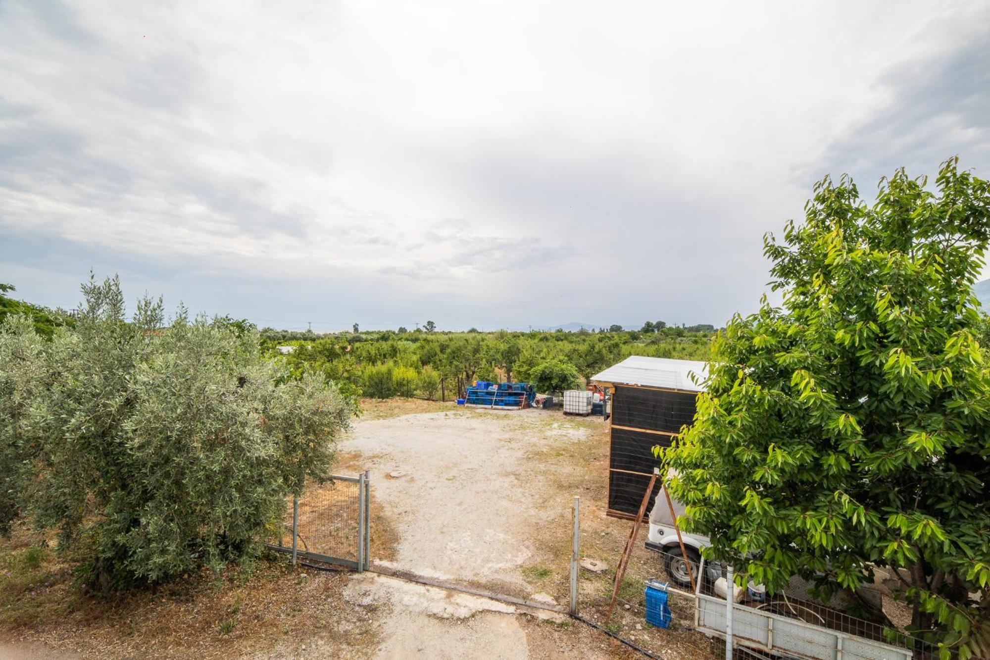 Seralis Pelion Afissos Exterior foto